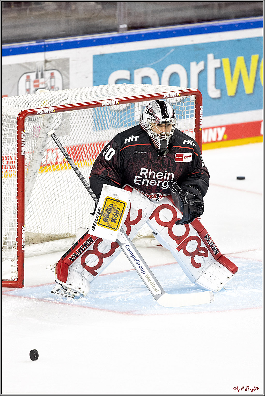 PENNY DEL;  Koelner Haie - Duesseldorfer EG; Koeln, 19.10.2021